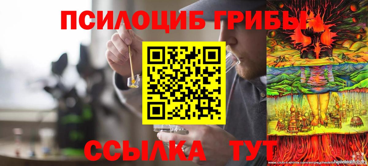Магадан  Галлюциногенные грибы прущие грибы  Галлюциногенные грибы ЛСД  Вход с VPN 
